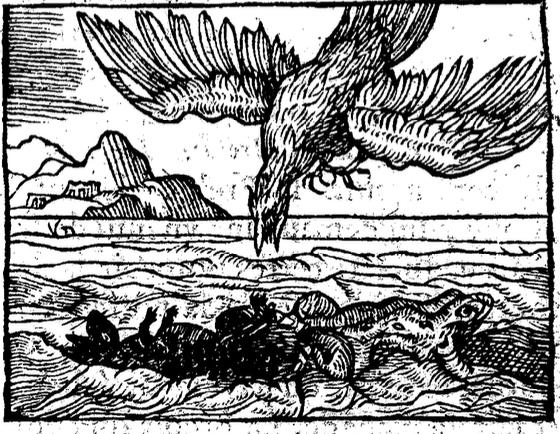 Le Rat et la Grenouille par Anonyme, source: Livre Planude (1582)